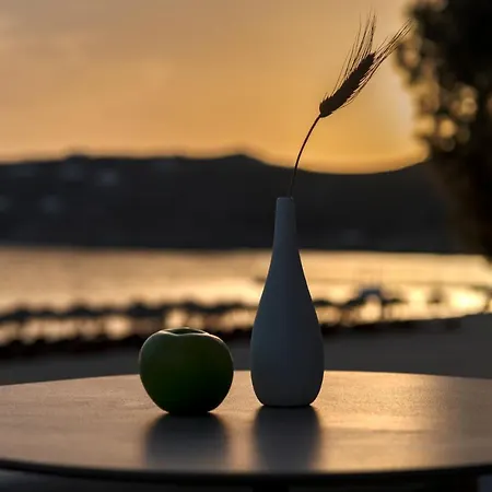 Elia Mykonos Ξενοδοχείο Ελιά